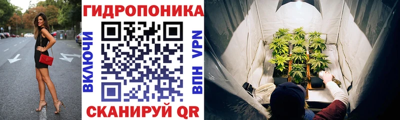 Где купить Канаш Бошки Шишки  МЕФ  АМФ  гидра зеркало  Cocaine  СОЛЬ  ГАШИШ 