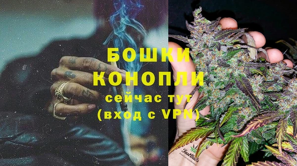 амф Арсеньев