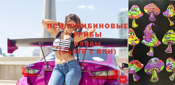 амф Арсеньев