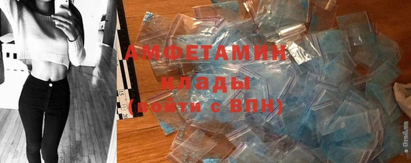амф Арсеньев