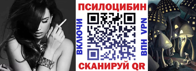 наркота Канаш Псилоцибиновые грибы Psilocybe