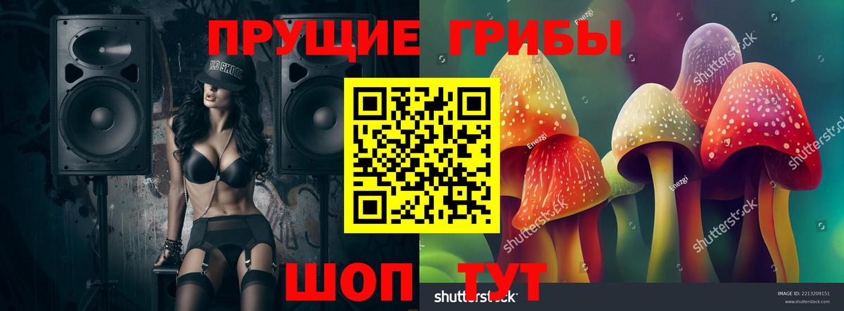 Канаш  Галлюциногенные грибы GOLDEN TEACHER  Вход с VPN 