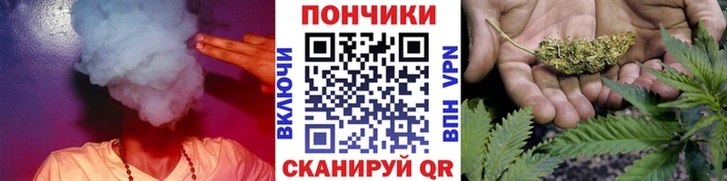 Шишки марихуана OG Kush  купить наркотик  Канаш 